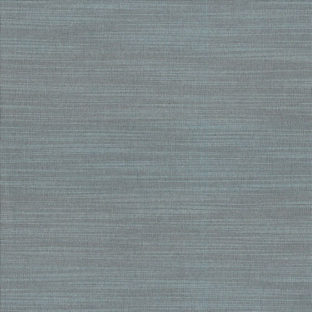 Luxe Slate by Kasmir Fabric 1447 88% Rayon
12% Polyester
 USA 21,000 Wyzenbeek Double Rubs Horizontal: N/A and Vertical: N/A 54 - Fabric Carolina -