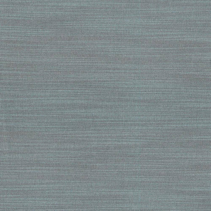 Luxe Slate by Kasmir Fabric 1447 88% Rayon
12% Polyester
 USA </p><p>Repeat: Horizontal: N/A and Vertical: N/A 54 - Fabric Carolina -