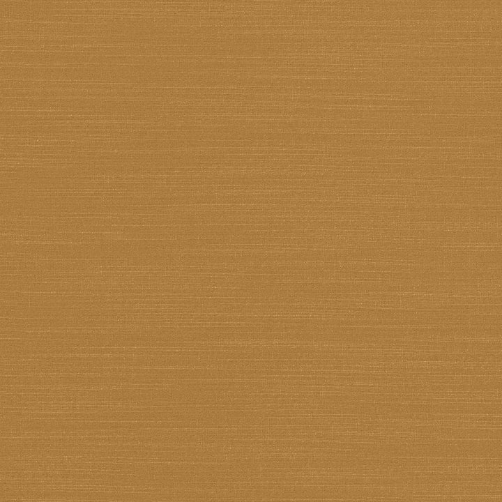 Luxe Spice by Kasmir Fabric 1447 88% Rayon
12% Polyester
 USA </p><p>Repeat: Horizontal: N/A and Vertical: N/A 54 - Fabric Carolina -
