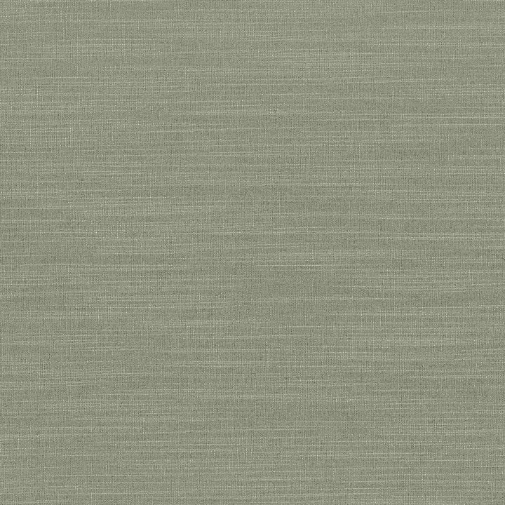 Luxe Spruce by Kasmir Fabric 1447 USA 21,000 Wyzenbeek Double Rubs H: N/A, V:N/A 54 - Fabric Carolina - Kasmir
