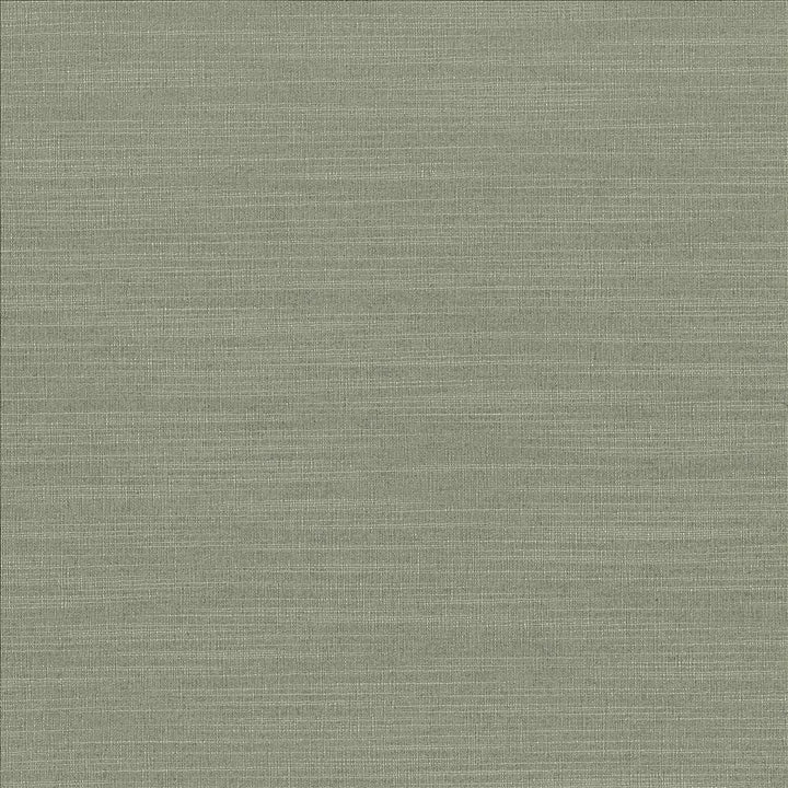 Luxe Spruce by Kasmir Fabric 1447 88% Rayon
12% Polyester
 USA 21,000 Wyzenbeek Double Rubs </p><p>Repeat: Horizontal: N/A and Vertical: N/A 54 - Fabric Carolina -