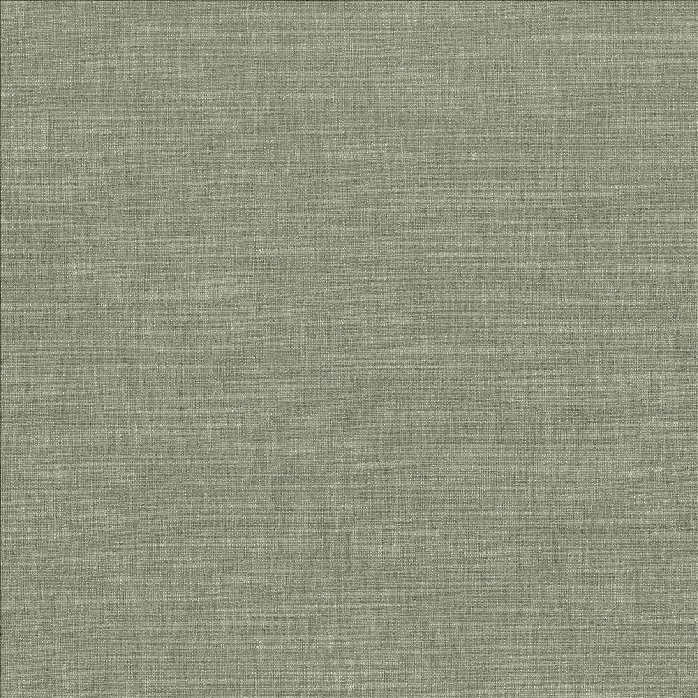 Luxe Spruce by Kasmir Fabric 1447 88% Rayon
12% Polyester
 USA 21,000 Wyzenbeek Double Rubs Horizontal: N/A and Vertical: N/A 54 - Fabric Carolina -