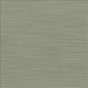 Luxe Spruce by Kasmir Fabric 1447 88% Rayon 12% Polyester USA 21,000 Wyzenbeek Double Rubs H: N/A, V: N/A 54 - Fabric Carolina - Kasmir
