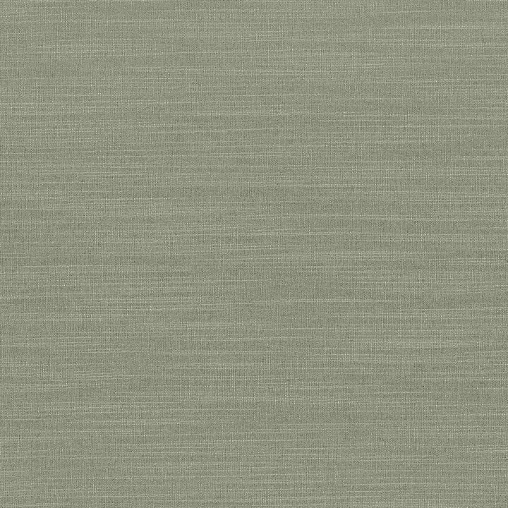 Luxe Spruce by Kasmir Fabric 1447 88% Rayon
12% Polyester
 USA </p><p>Repeat: Horizontal: N/A and Vertical: N/A 54 - Fabric Carolina -