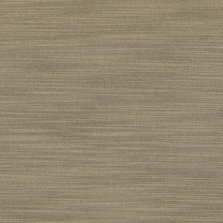 Luxe Stone by Kasmir Fabric 1447 USA 21,000 Wyzenbeek Double Rubs H: N/A, V:N/A 54 - Fabric Carolina - Kasmir