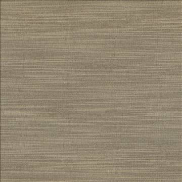 Luxe Stone by Kasmir Fabric 1447 88% Rayon 12% Polyester USA 21,000 Wyzenbeek Double Rubs H: N/A, V: N/A 54 - Fabric Carolina - Kasmir