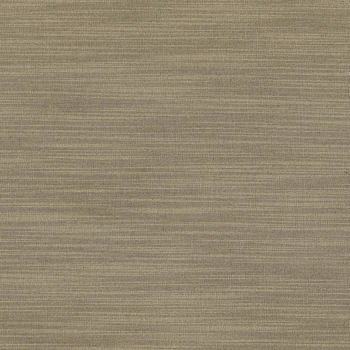 Luxe Stone by Kasmir Fabric 1447 88% Rayon
12% Polyester
 USA </p><p>Repeat: Horizontal: N/A and Vertical: N/A 54 - Fabric Carolina -