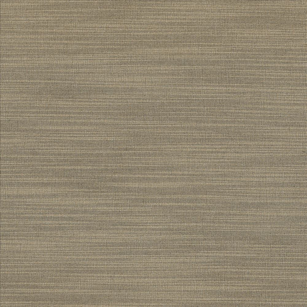 Luxe Stone by Kasmir Fabric 1447 88% Rayon 12% Polyester USA 21,000 Wyzenbeek Double Rubs Horizontal: 0 Inches and Vertical: 0 Inches 54 - Fabric Carolina -