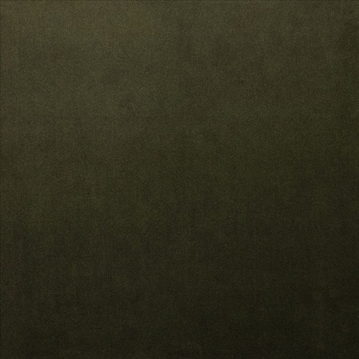 Lyndhurst Army by Kasmir Fabric 5158 100% Polyester
 CHINA </p><p>Repeat: Horizontal: N/A and Vertical: N/A 54 - Fabric Carolina -