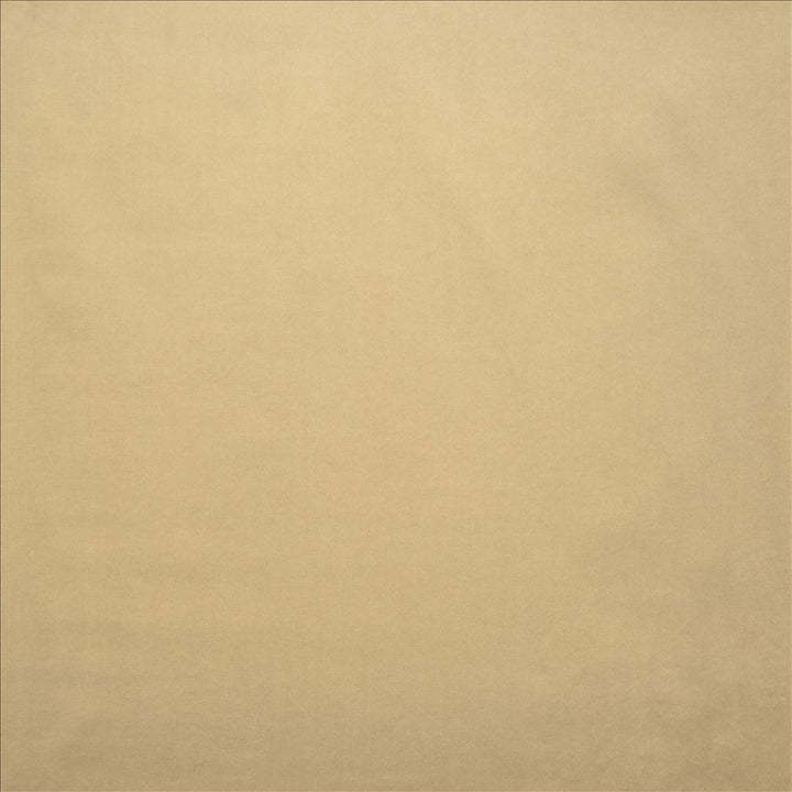 Lyndhurst Bone by Kasmir Fabric 5158 100% Polyester CHINA 100,000 Wyzenbeek Double Rubs Horizontal: 0 Inches and Vertical: 0 Inches 54 - Fabric Carolina -