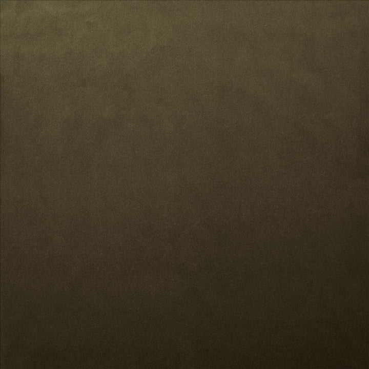 Lyndhurst Caper by Kasmir Fabric 5158 100% Polyester
 CHINA 100,000 Wyzenbeek Double Rubs Horizontal: N/A and Vertical: N/A 54 - Fabric Carolina -