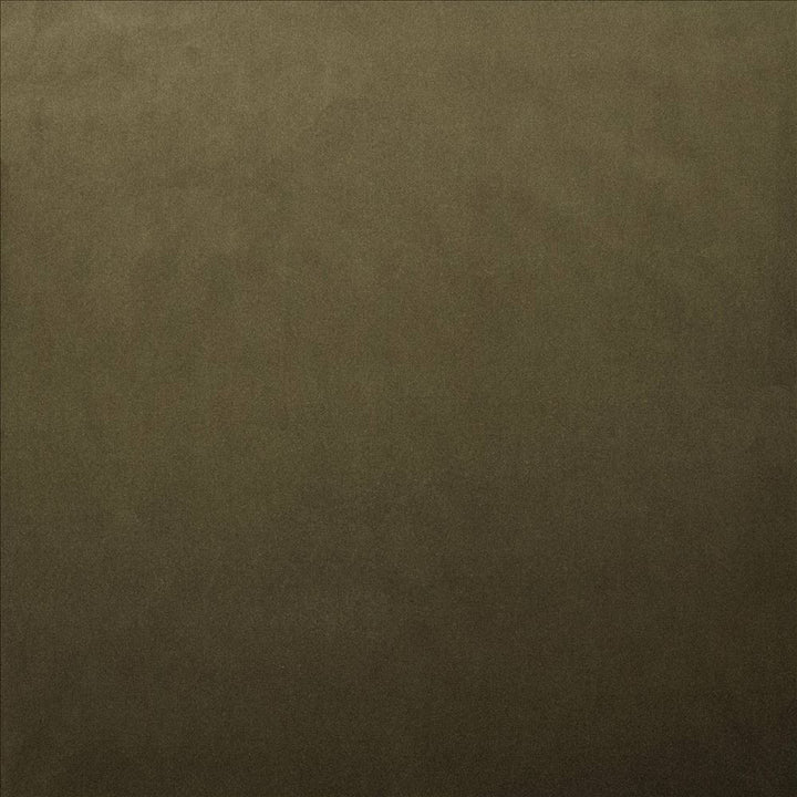 Lyndhurst Caper by Kasmir Fabric 5158 100% Polyester CHINA 100,000 Wyzenbeek Double Rubs Horizontal: 0 Inches and Vertical: 0 Inches 54 - Fabric Carolina -