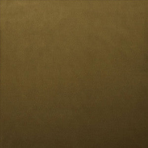Lyndhurst Ecru by Kasmir Fabric