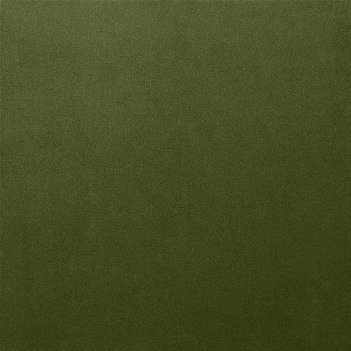 Lyndhurst Fern by Kasmir Fabric 5158 100% Polyester
 CHINA </p><p>Repeat: Horizontal: N/A and Vertical: N/A 54 - Fabric Carolina -