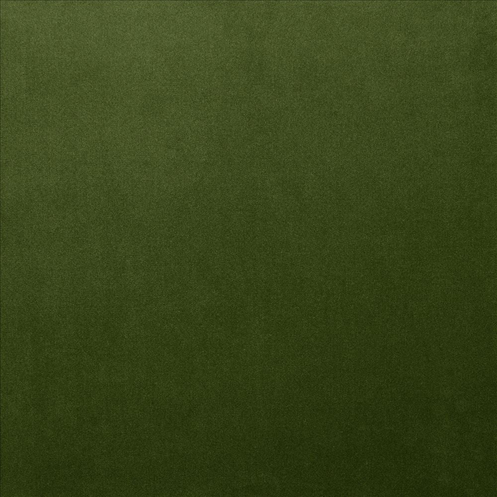 Lyndhurst Fern by Kasmir Fabric 5158 100% Polyester CHINA 100,000 Wyzenbeek Double Rubs Horizontal: 0 Inches and Vertical: 0 Inches 54 - Fabric Carolina -