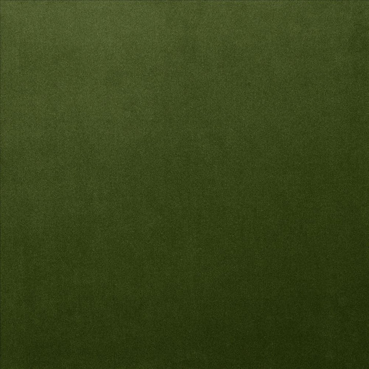 Lyndhurst Fern by Kasmir Fabric 5158 100% Polyester CHINA 100,000 Wyzenbeek Double Rubs Horizontal: 0 Inches and Vertical: 0 Inches 54 - Fabric Carolina -