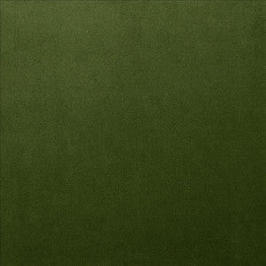 Lyndhurst Fern by Kasmir Fabric