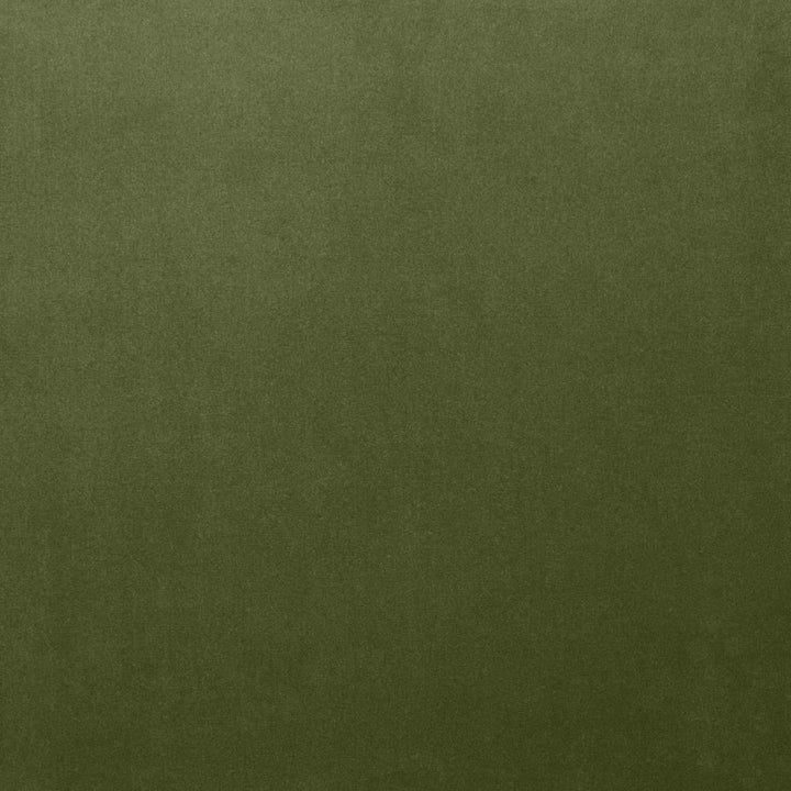 Lyndhurst Fern by Kasmir Fabric 5158 100% Polyester
 CHINA </p><p>Repeat: Horizontal: N/A and Vertical: N/A 54 - Fabric Carolina -