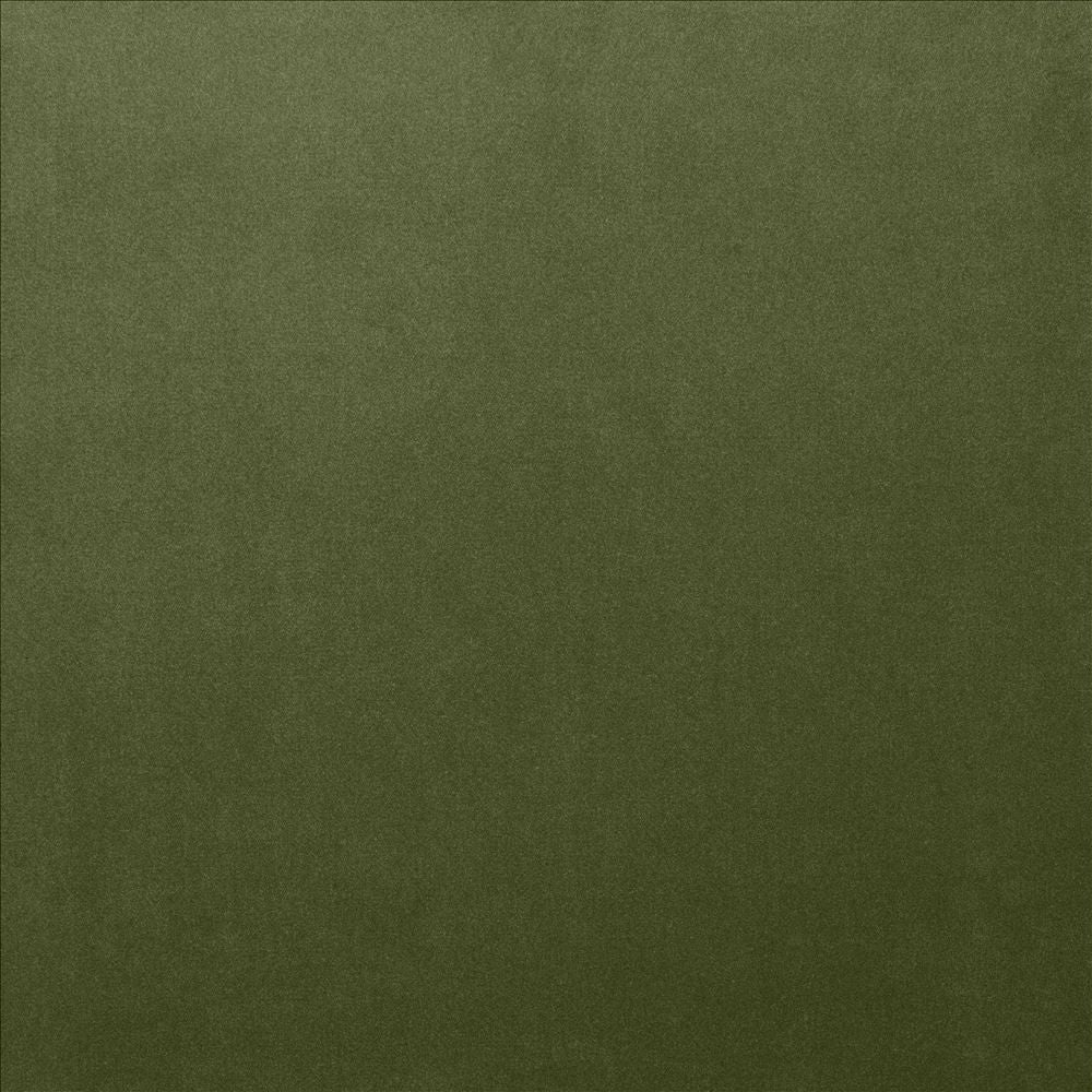 Lyndhurst Fern  by Kasmir Fabric See sample 100% Polyester
 CHINA 100,000 Wyzenbeek Double Rubs </p><p>Repeat: Horizontal: N/A and Vertical: N/A 54  - Fabric Carolina -
