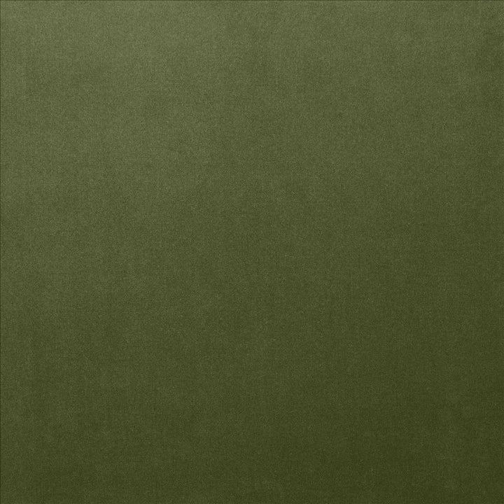 Lyndhurst Fern  by Kasmir Fabric See sample 100% Polyester
 CHINA 100,000 Wyzenbeek Double Rubs </p><p>Repeat: Horizontal: N/A and Vertical: N/A 54  - Fabric Carolina -