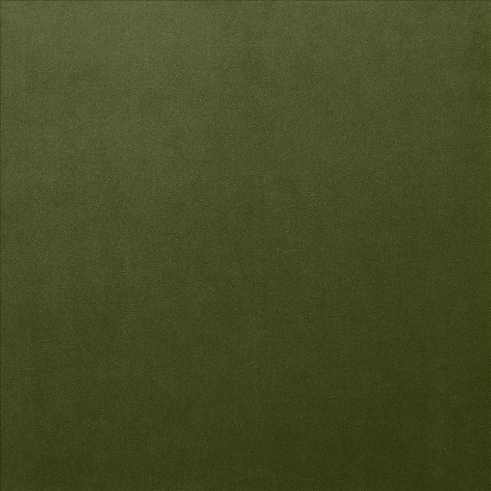 Lyndhurst Fern by Kasmir Fabric 5158 100% Polyester
 CHINA </p><p>Repeat: Horizontal: N/A and Vertical: N/A 54 - Fabric Carolina -