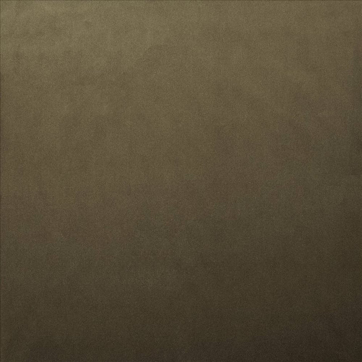Lyndhurst Mushroom by Kasmir Fabric 5158 100% Polyester CHINA 100,000 Wyzenbeek Double Rubs Horizontal: 0 Inches and Vertical: 0 Inches 54 - Fabric Carolina -