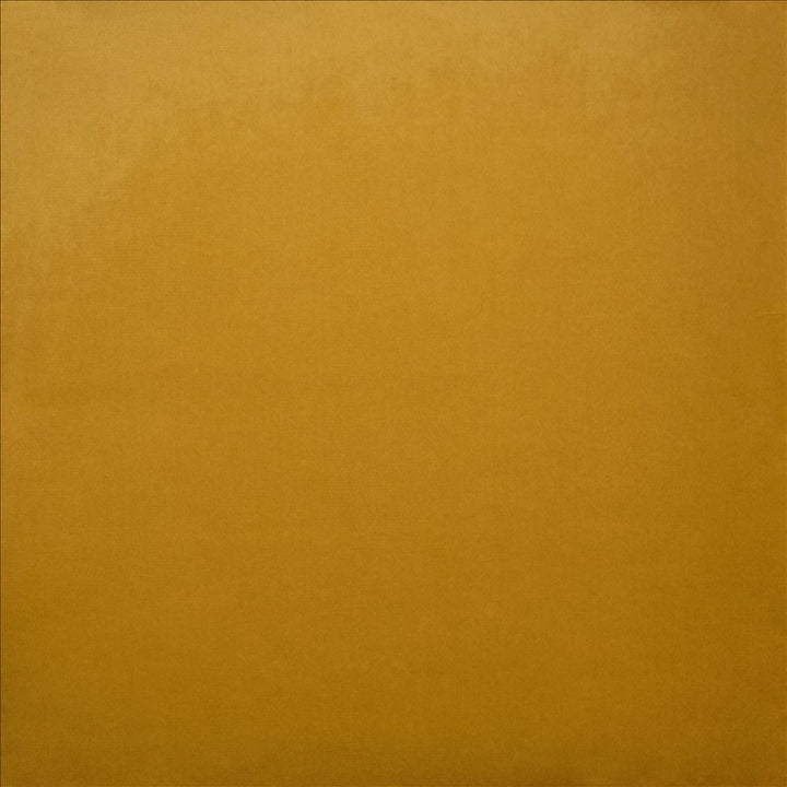 Lyndhurst Mustard by Kasmir Fabric 5158 100% Polyester
 CHINA 100,000 Wyzenbeek Double Rubs </p><p>Repeat: Horizontal: N/A and Vertical: N/A 54 - Fabric Carolina -