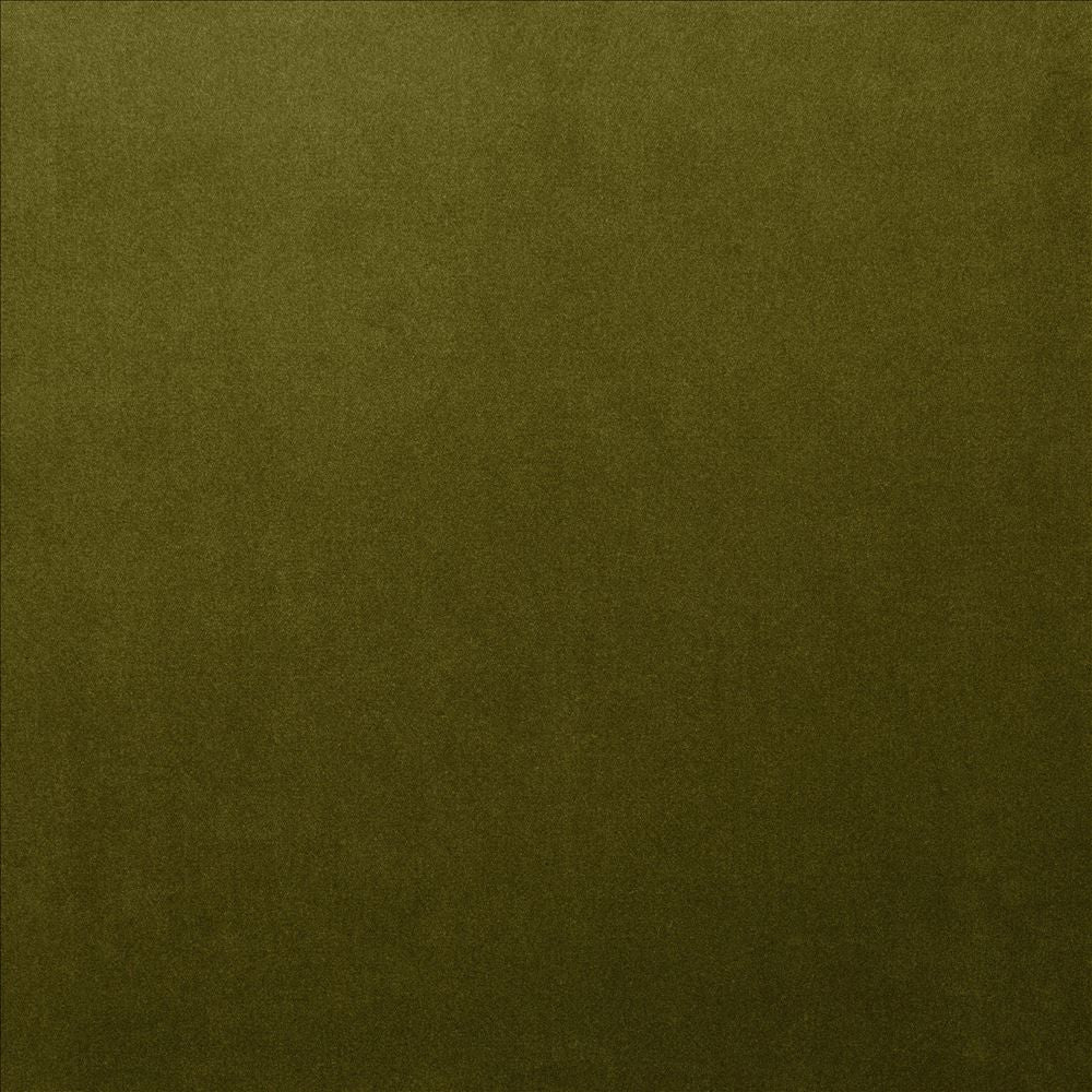Lyndhurst Olive by Kasmir Fabric 5158 100% Polyester CHINA 100,000 Wyzenbeek Double Rubs Horizontal: 0 Inches and Vertical: 0 Inches 54 - Fabric Carolina -
