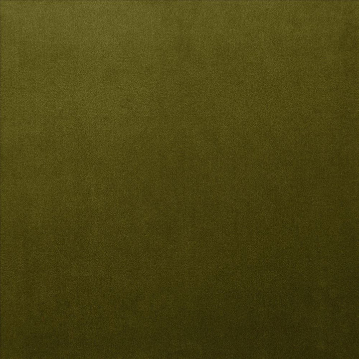 Lyndhurst Olive by Kasmir Fabric 5158 100% Polyester CHINA 100,000 Wyzenbeek Double Rubs Horizontal: 0 Inches and Vertical: 0 Inches 54 - Fabric Carolina -