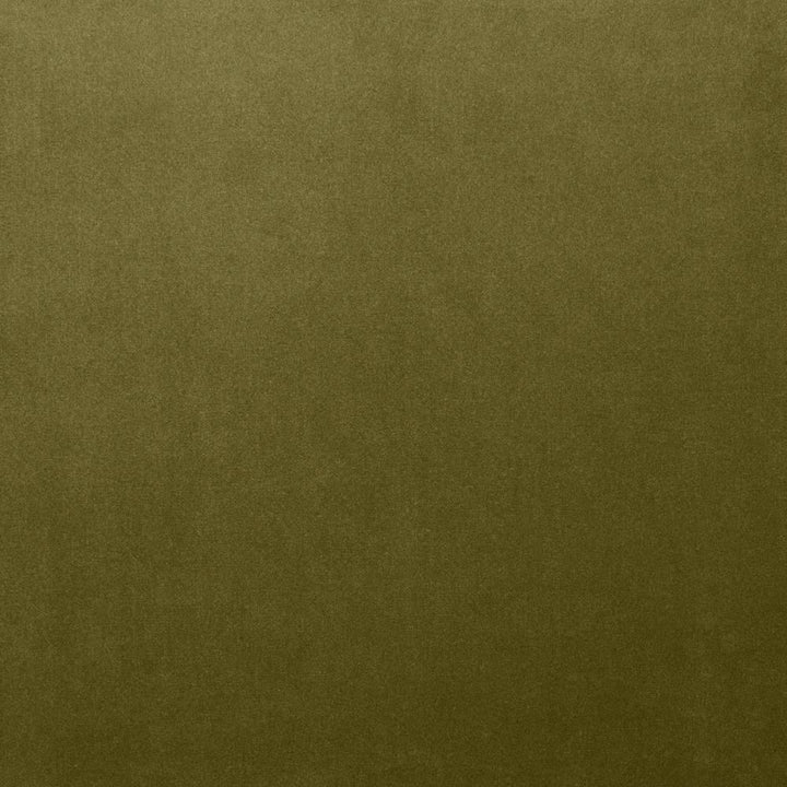 Lyndhurst Olive by Kasmir Fabric 5158 100% Polyester
 CHINA </p><p>Repeat: Horizontal: N/A and Vertical: N/A 54 - Fabric Carolina -