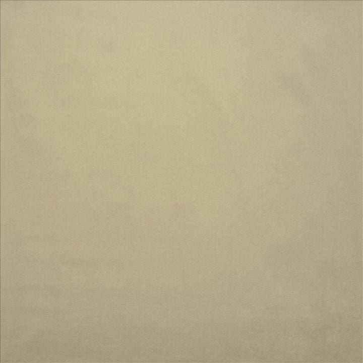Lyndhurst Platinum by Kasmir Fabric 5158 100% Polyester CHINA 100,000 Wyzenbeek Double Rubs Horizontal: 0 Inches and Vertical: 0 Inches 54 - Fabric Carolina -
