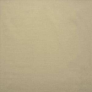Lyndhurst Platinum by Kasmir Fabric