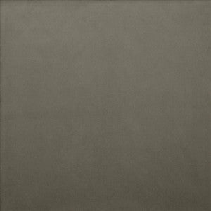 Lyndhurst Silver by Kasmir Fabric
