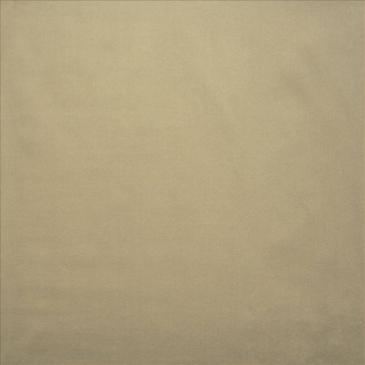 Lyndhurst Stone by Kasmir Fabric 5158 100% Polyester CHINA 100,000 Wyzenbeek Double Rubs Horizontal: 0 Inches and Vertical: 0 Inches 54 - Fabric Carolina -