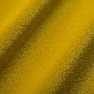 Fame Lizzo 5 by Kravet Design Fabric