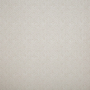 Tonalita 21570 by Kravet Design Wallcovering