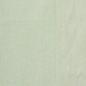 Pinstripe Light Green by Parkertex Fabric