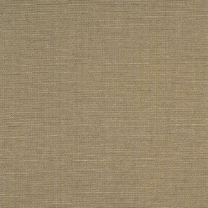 Adagio Plain Camel by Baker Lifestyle Fabric