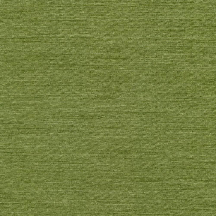 Macao Avocado by Kasmir Fabric 5038 100% Polyester
 USA 25,000 Wyzenbeek Double Rubs </p><p>Repeat: Horizontal: N/A and Vertical: N/A 60 - Fabric Carolina -