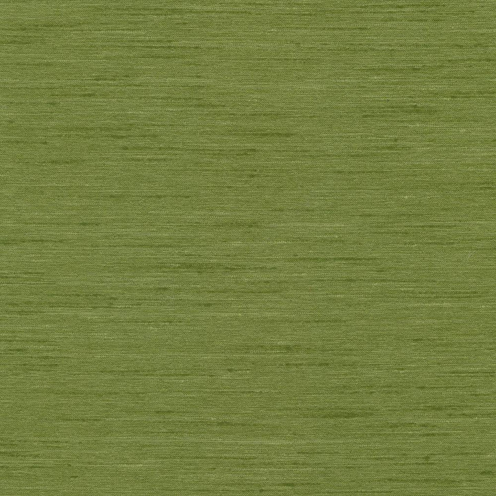 Macao Avocado by Kasmir Fabric 5038 USA 25,000 Wyzenbeek Double Rubs H: N/A, V:N/A 60 - 61 - Fabric Carolina - Kasmir