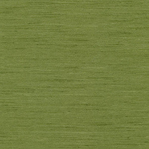 Macao Avocado by Kasmir Fabric