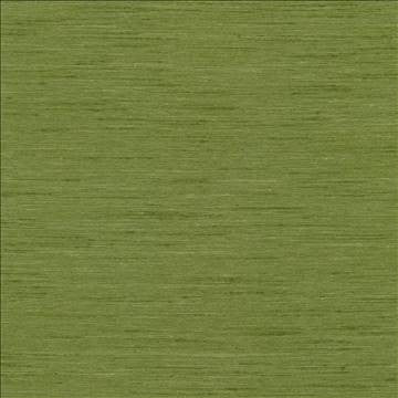 Macao Avocado by Kasmir Fabric 5038 100% Polyester USA 25,000 Wyzenbeek Double Rubs H: N/A, V: N/A 60 - 61 - Fabric Carolina - Kasmir