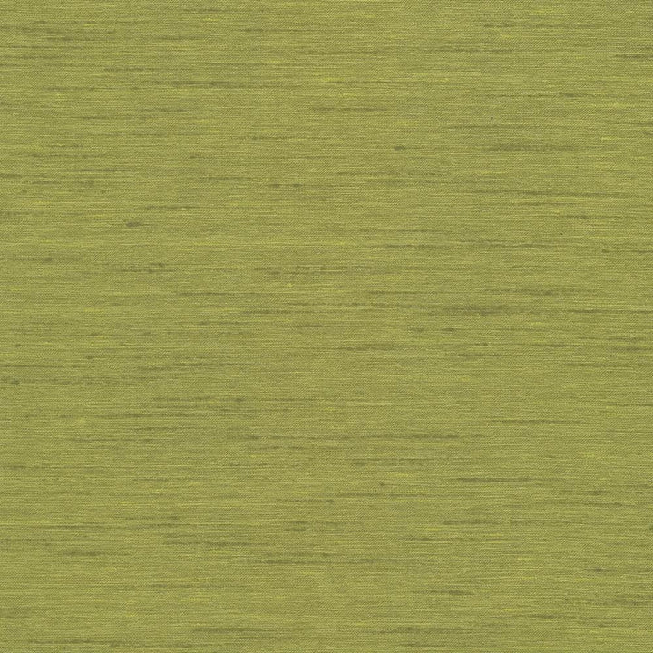 Macao Vineyard by Kasmir Fabric 5038 100% Polyester
 USA </p><p>Repeat: Horizontal: N/A and Vertical: N/A 60 - 61 - Fabric Carolina -