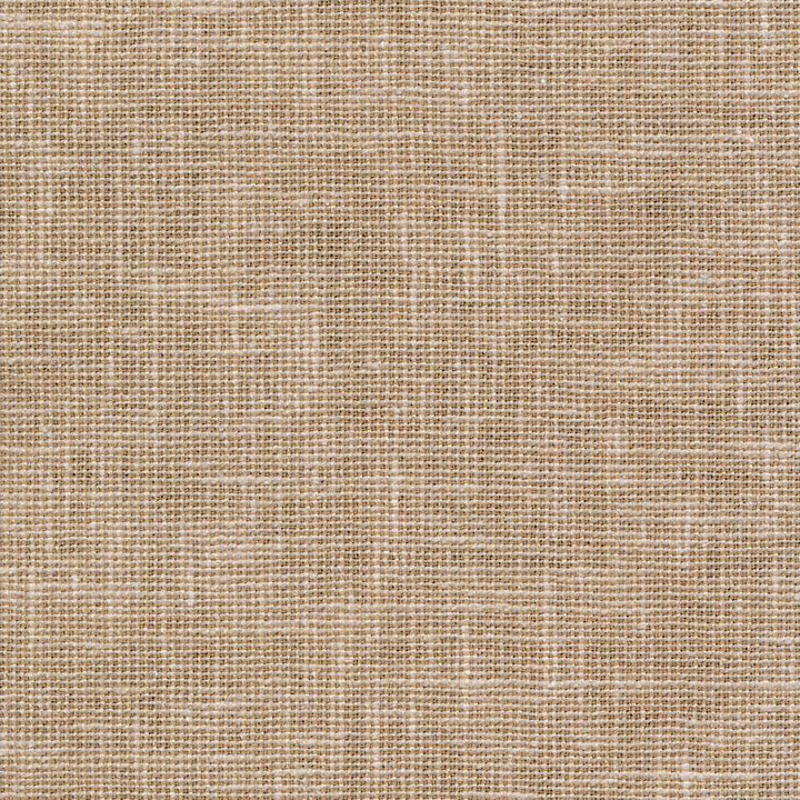 Maclaren Almond by Kasmir Fabric 1377 INDIA Not Tested H: N/A, V:N/A 54 - 55 - Fabric Carolina - Kasmir
