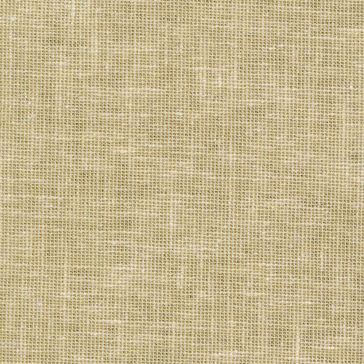 Maclaren Antique by Kasmir Fabric 1377 INDIA Not Tested H: N/A, V:N/A 54 - 55 - Fabric Carolina - Kasmir