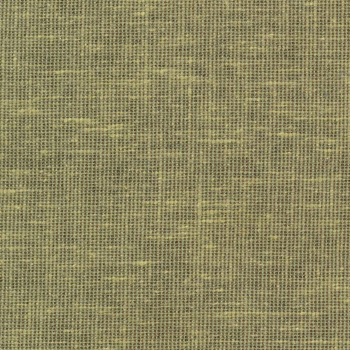 Maclaren Basil by Kasmir Fabric 1377 INDIA Not Tested H: N/A, V:N/A 54 - 55 - Fabric Carolina - Kasmir