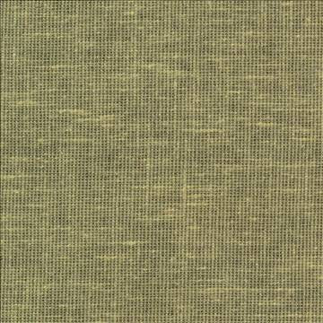 Maclaren Basil by Kasmir Fabric 1377 81% Polyester 19% Cotton INDIA Not Tested H: N/A, V: N/A 54 - 55 - Fabric Carolina - Kasmir