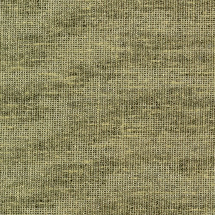 Maclaren Basil by Kasmir Fabric 1377 81% Polyester
19% Cotton
 INDIA </p><p>Repeat: Horizontal: N/A and Vertical: N/A 54 - 55 - Fabric Carolina -