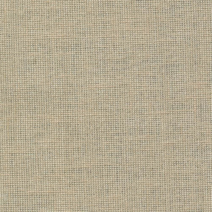 Maclaren Bisque by Kasmir Fabric 1377 81% Polyester
19% Cotton
 INDIA Not Tested Horizontal: N/A and Vertical: N/A 54 - Fabric Carolina -