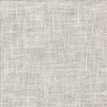 Maclaren Bone by Kasmir Fabric 1377 81% Polyester 19% Cotton INDIA Not Tested H: N/A, V: N/A 54 - 55 - Fabric Carolina - Kasmir